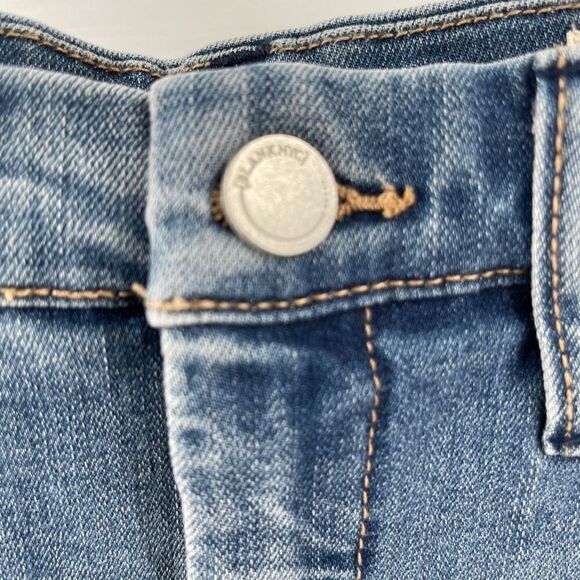 blankNYC Hiker Short jean shorts jorts embroidered 27 EUC distressed - Picture 9 of 15